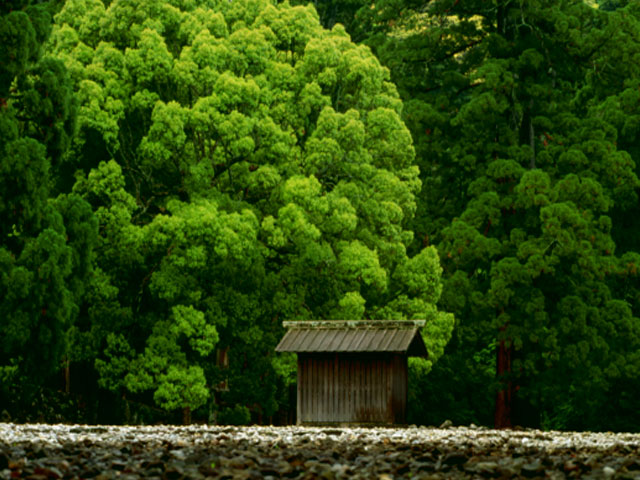 伊勢神宮写真集　緑鮮やか