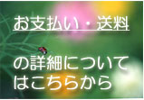 お支払い、送料の詳細